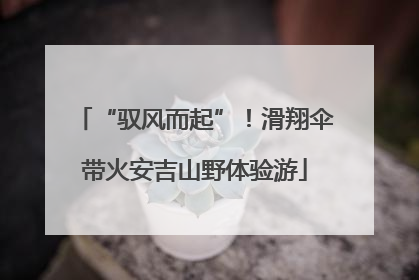 “驭风而起”！滑翔伞带火安吉山野体验游