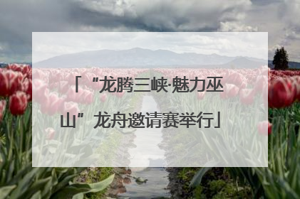 “龙腾三峡·魅力巫山”龙舟邀请赛举行