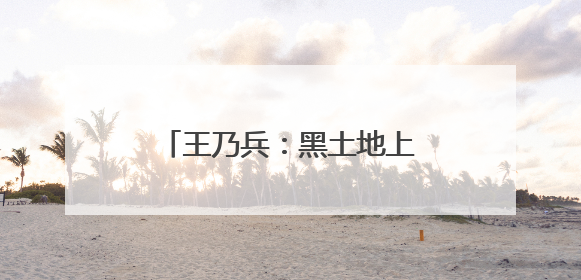 王乃兵：黑土地上“种”出红火日子