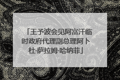 王予波会见阿富汗临时政府代理副总理阿卜杜·萨拉姆·哈纳菲