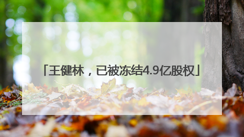 王健林，已被冻结4.9亿股权