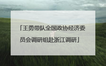 王勇带队全国政协经济委员会调研组赴浙江调研