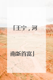 王宁，河南新首富