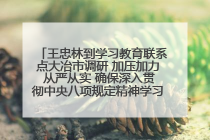 王忠林到学习教育联系点大冶市调研 加压加力 从严从实 确保深入贯彻中央八项规定精神学习教育取得实效