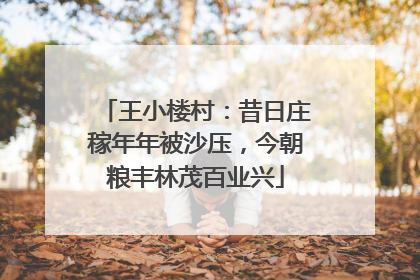 王小楼村：昔日庄稼年年被沙压，今朝粮丰林茂百业兴
