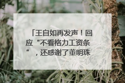 王自如再发声！回应“不看格力工资条”，还感谢了董明珠和雷军｜热财经