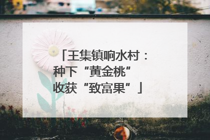 王集镇响水村：种下“黄金桃” 收获“致富果”