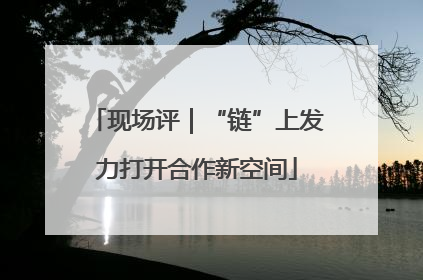 现场评｜“链”上发力打开合作新空间