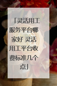 灵活用工服务平台哪家好 灵活用工平台收费标准几个点