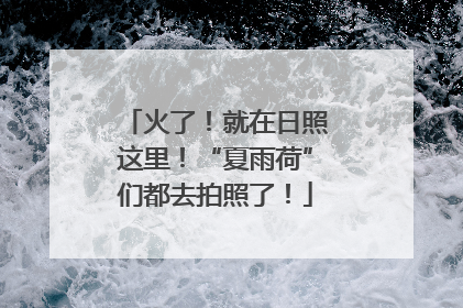 火了！就在日照这里！“夏雨荷”们都去拍照了！