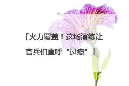 火力覆盖！这场演练让官兵们直呼“过瘾”