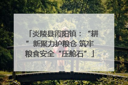 炎陵县霞阳镇：“耕”新聚力护粮仓 筑牢粮食安全“压舱石”