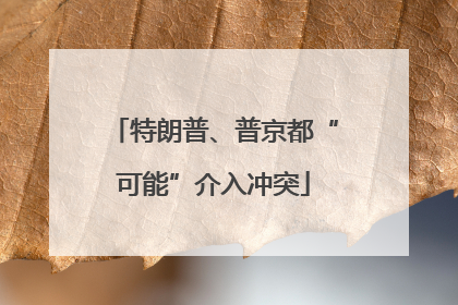 特朗普、普京都“可能”介入冲突
