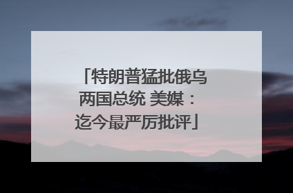 特朗普猛批俄乌两国总统 美媒：迄今最严厉批评