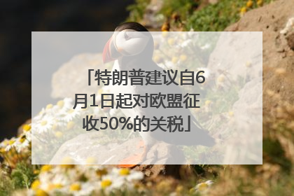 特朗普建议自6月1日起对欧盟征收50%的关税