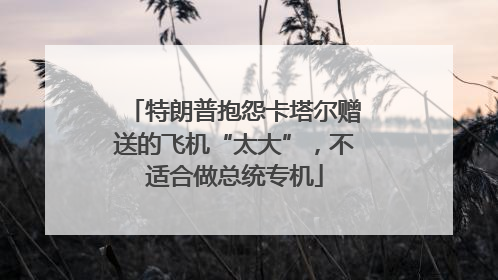 特朗普抱怨卡塔尔赠送的飞机“太大”，不适合做总统专机