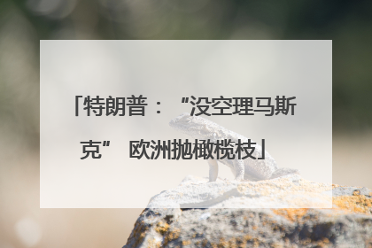 特朗普：“没空理马斯克” 欧洲抛橄榄枝