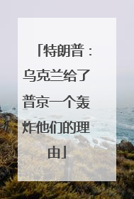 特朗普：乌克兰给了普京一个轰炸他们的理由