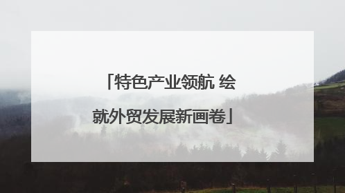 特色产业领航 绘就外贸发展新画卷