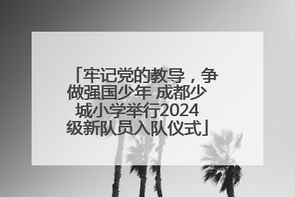 牢记党的教导，争做强国少年 成都少城小学举行2024级新队员入队仪式