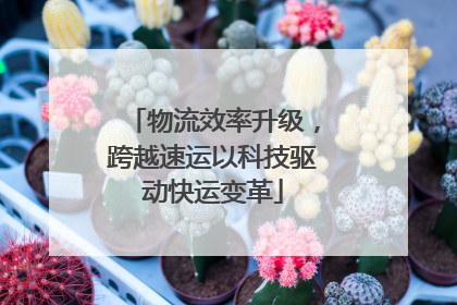 物流效率升级，跨越速运以科技驱动快运变革