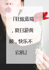 狂炫蓝莓，夏日游黄陂，快乐不宕机