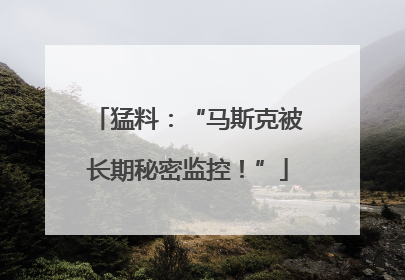 猛料：“马斯克被长期秘密监控！”