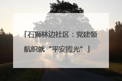 石狮林边社区：党建领航织就“平安霞光”