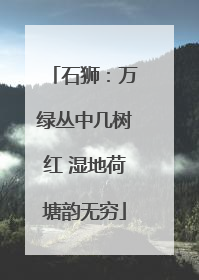 石狮：万绿丛中几树红 湿地荷塘韵无穷