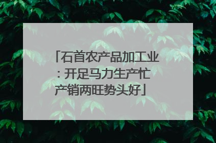 石首农产品加工业：开足马力生产忙 产销两旺势头好