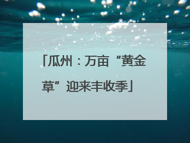 瓜州：万亩“黄金草”迎来丰收季