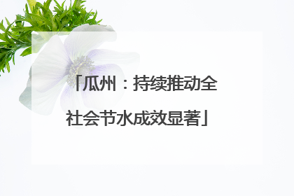 瓜州：持续推动全社会节水成效显著