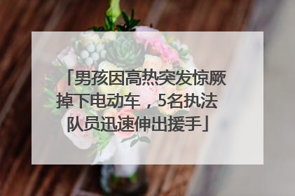 男孩因高热突发惊厥掉下电动车，5名执法队员迅速伸出援手