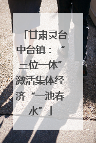 甘肃灵台中台镇：“三位一体”激活集体经济“一池春水”