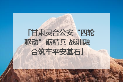 甘肃灵台公安“四轮驱动”砺精兵 战训融合筑牢平安基石