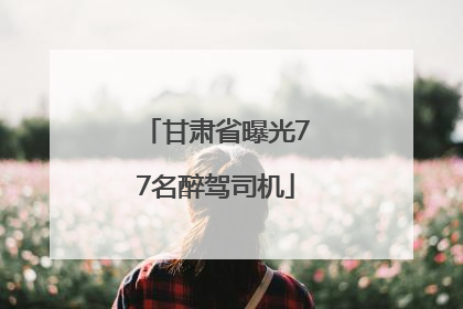 甘肃省曝光77名醉驾司机