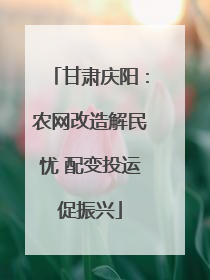 甘肃庆阳：农网改造解民忧 配变投运促振兴