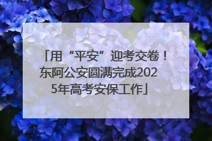 用“平安”迎考交卷！东阿公安圆满完成2025年高考安保工作