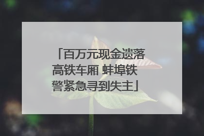 百万元现金遗落高铁车厢 蚌埠铁警紧急寻到失主