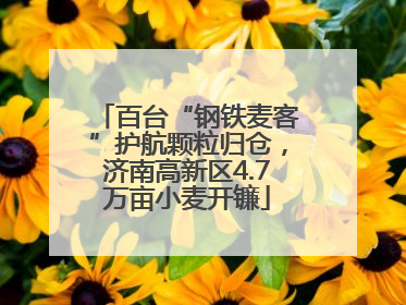 百台“钢铁麦客”护航颗粒归仓，济南高新区4.7万亩小麦开镰