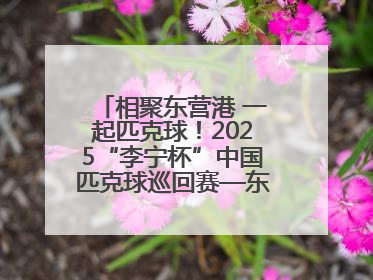 相聚东营港 一起匹克球！2025“李宁杯”中国匹克球巡回赛—东营站（CPC—1000）暨“好运山东”黄河口匹克球公开赛落幕