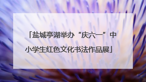 盐城亭湖举办“庆六一”中小学生红色文化书法作品展