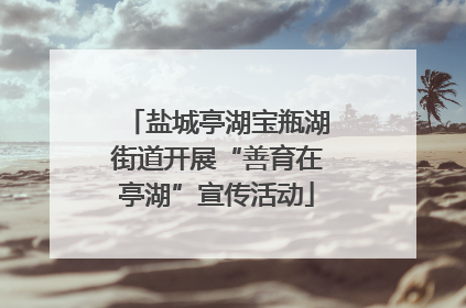 盐城亭湖宝瓶湖街道开展“善育在亭湖”宣传活动