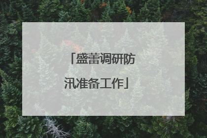 盛蕾调研防汛准备工作
