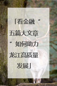 看金融“五篇大文章”如何助力龙江高质量发展