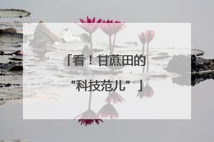 看！甘蔗田的“科技范儿”