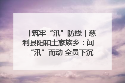 筑牢“汛”防线｜慈利县阳和土家族乡：闻“汛”而动 全员下沉筑牢防汛“安全堤”