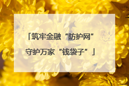 筑牢金融“防护网” 守护万家“钱袋子”