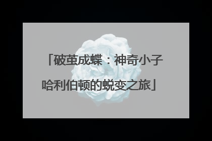破茧成蝶：神奇小子哈利伯顿的蜕变之旅