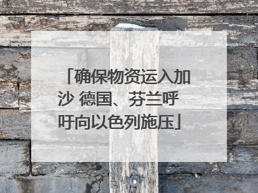 确保物资运入加沙 德国、芬兰呼吁向以色列施压